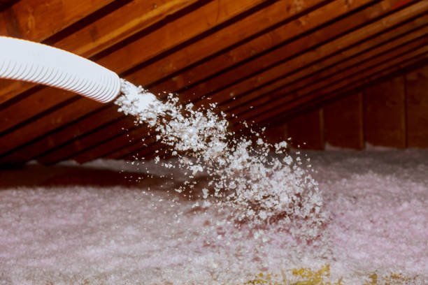 Best Insulation Maintenance and Repair in Vinita Park, MO