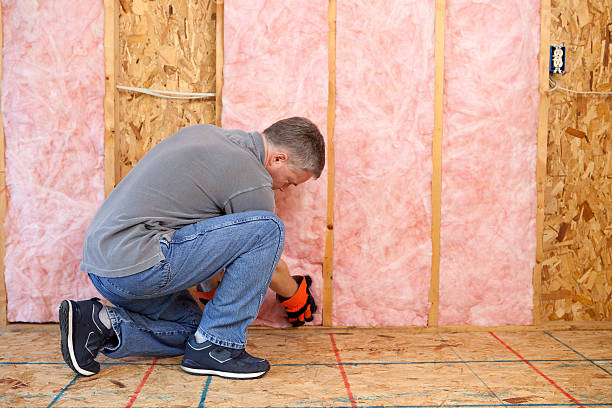 Best Types of Insulation in Vinita Park, MO