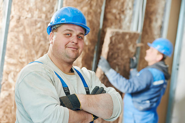 Best Commercial Insulation in Vinita Park, MO